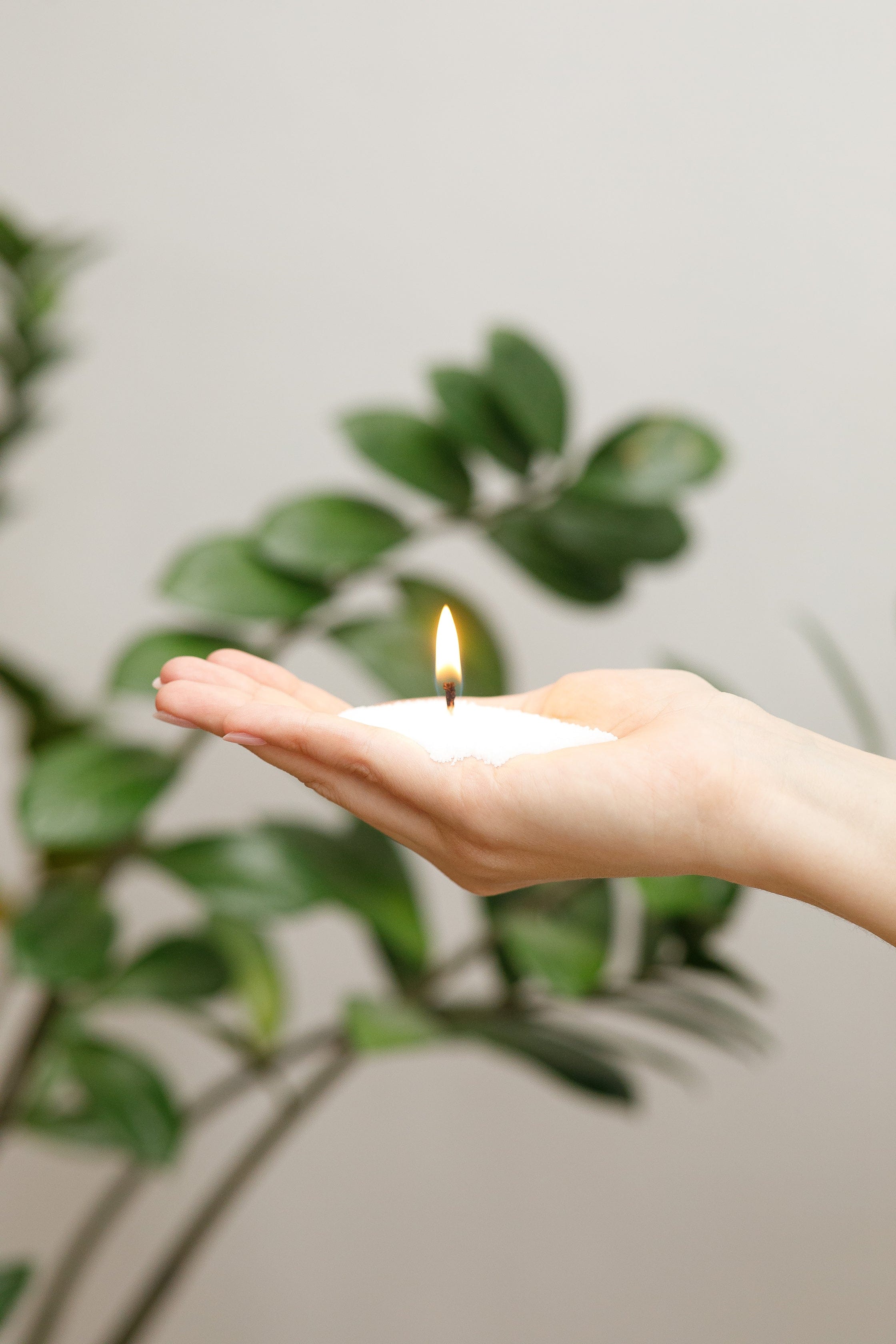 Bougies perlées : pourquoi choisir la cire de soja