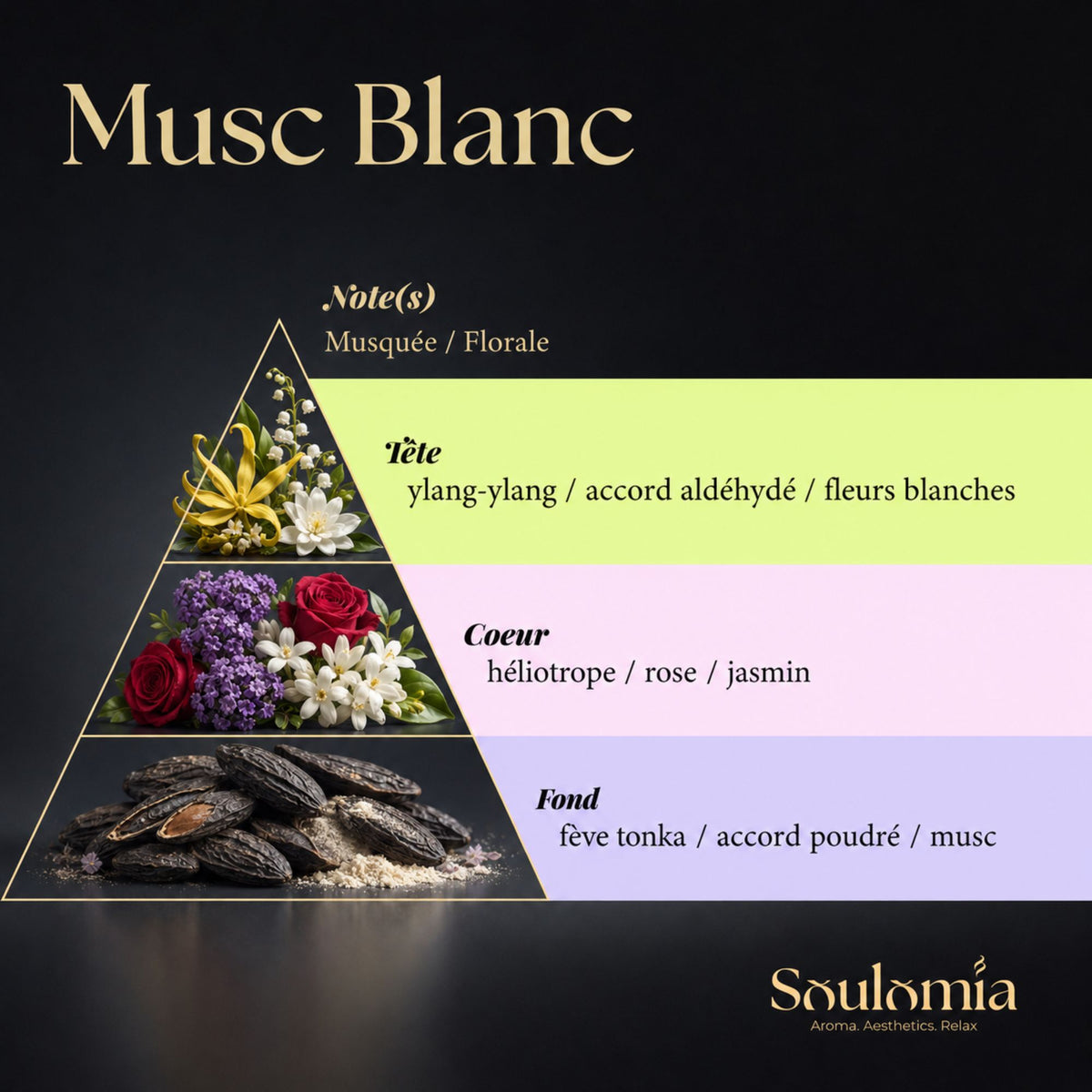 Pyramide olfactive du parfum Musc Blanc Soulomia