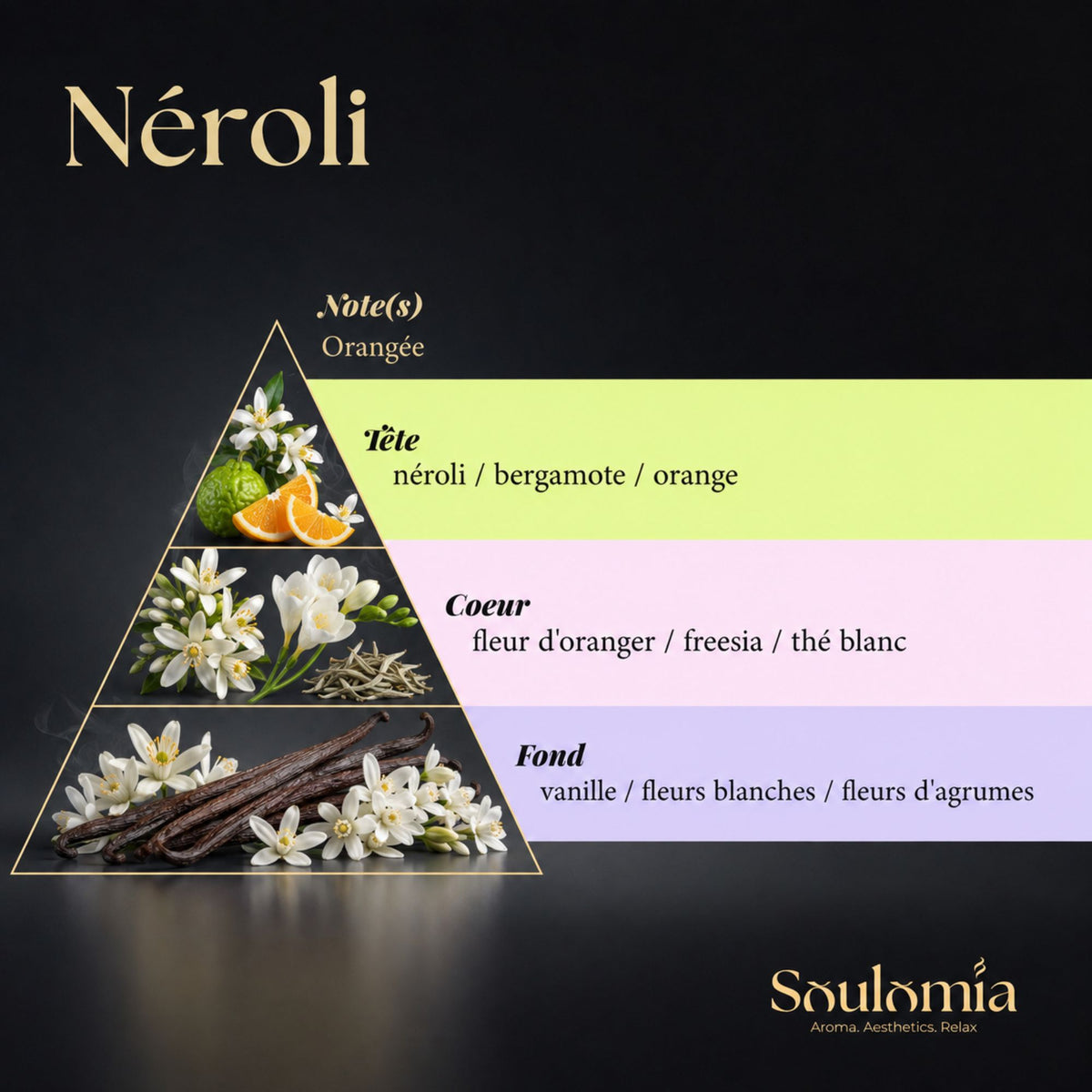 Pyramide olfactive du parfum Néroli Soulomia