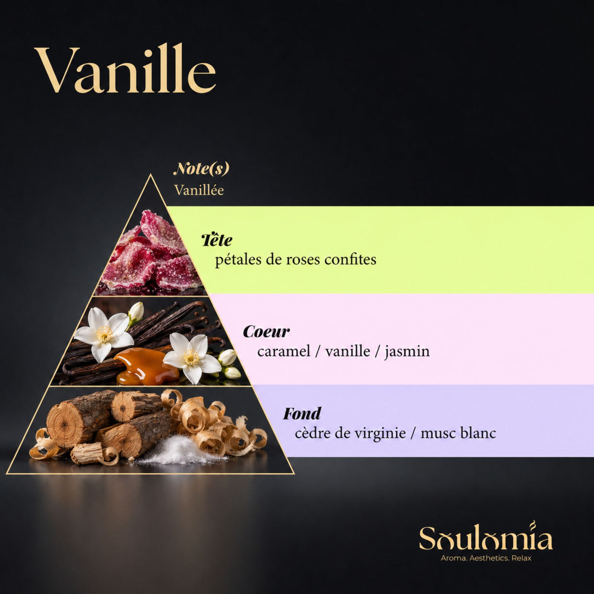 Pyramide olfactive du parfum Vanille Soulomia