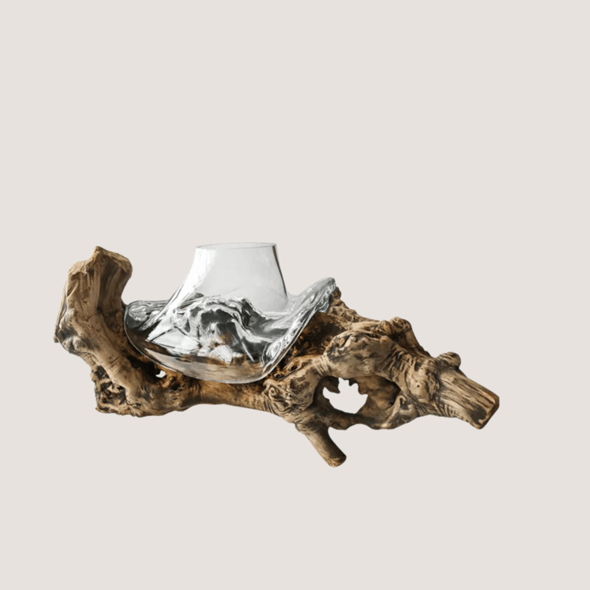 Vase en verre avec socle en bois style bonsaï