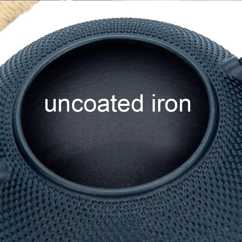 Théière en fonte japonaise