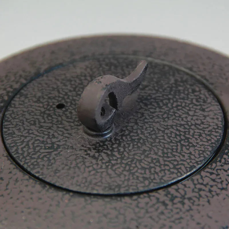 Théière japonaise en fonte Tetsubin – 450 ml avec filtre inox