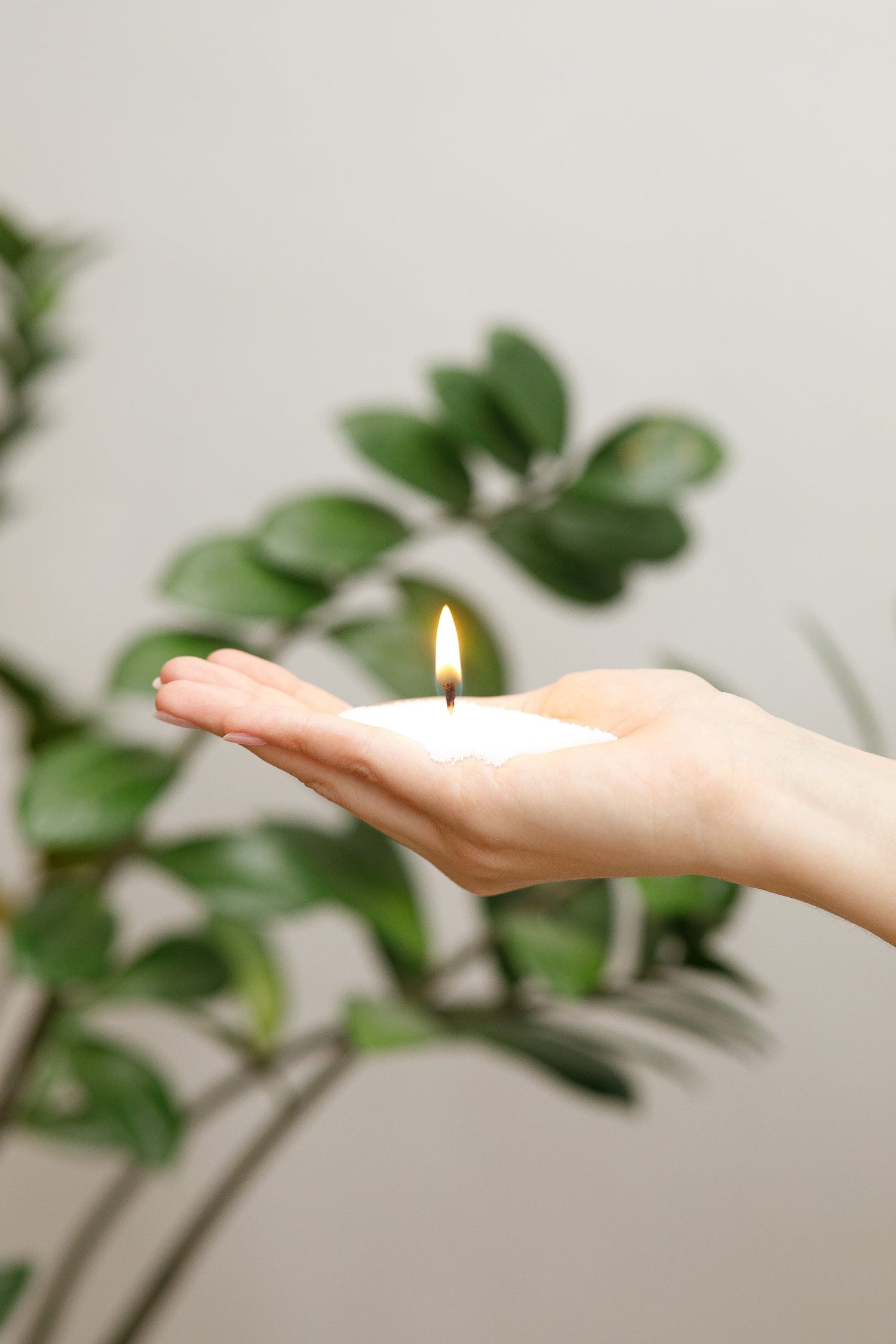 Bougies perlées : pourquoi choisir la cire de soja