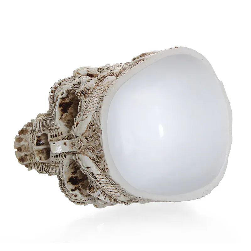 Vase Halloween Crâne Antique