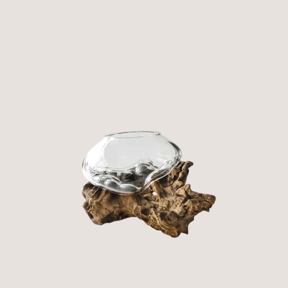 Vase en verre avec socle en bois style bonsaï