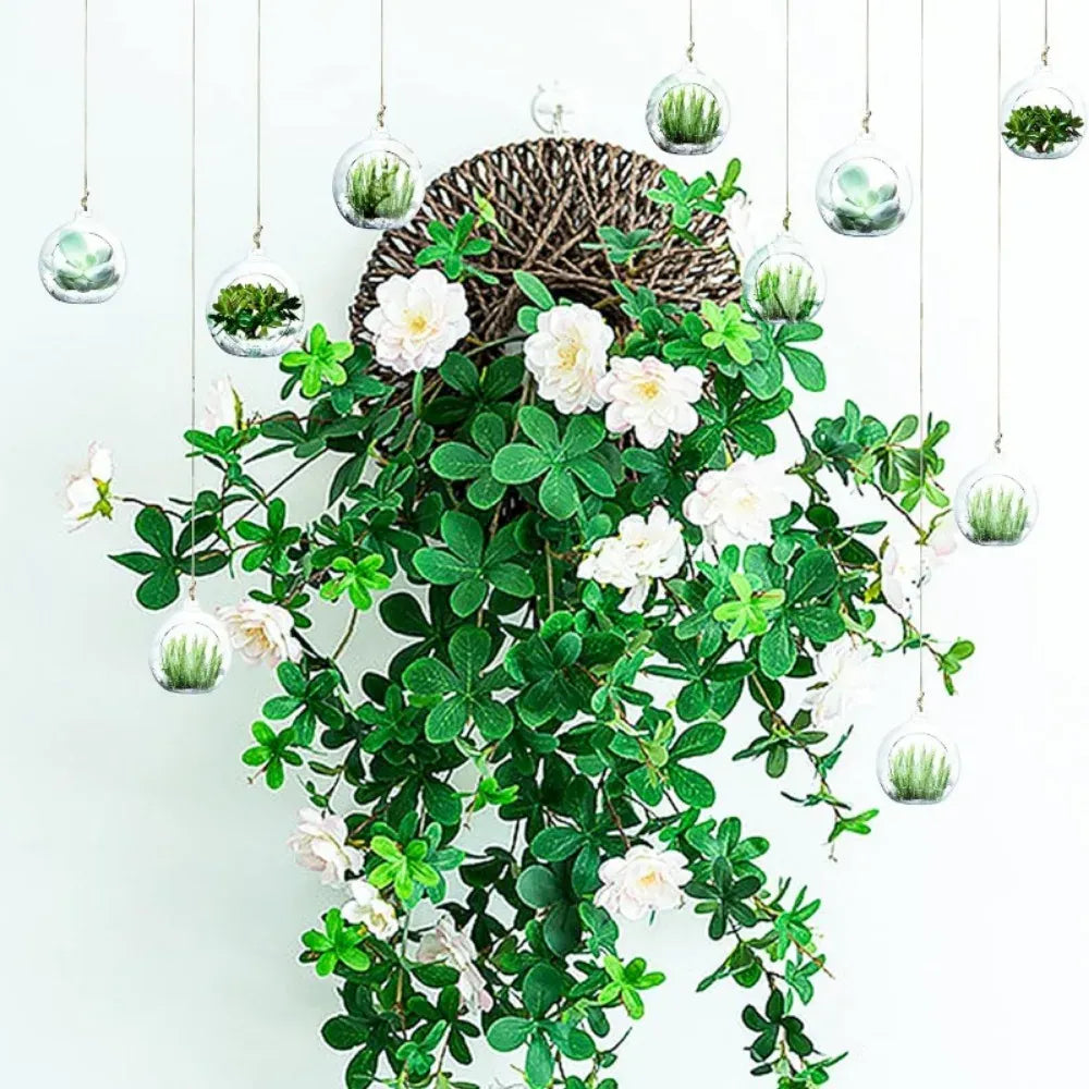 Photophores suspendus en verre