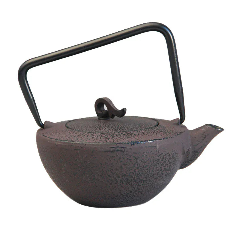 Théière japonaise en fonte Tetsubin – 450 ml avec filtre inox